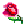 :rose