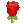 :rse